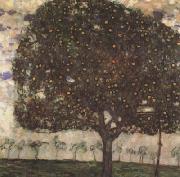 Gustav Klimt Apple Tree II (mk20) Germany oil painting artist